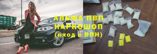 гашик Абаза