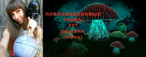 мяу мяу мука Абинск
