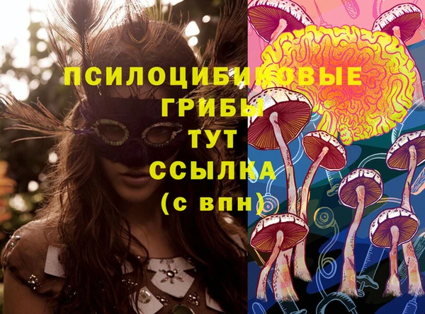 мяу мяу мука Абинск