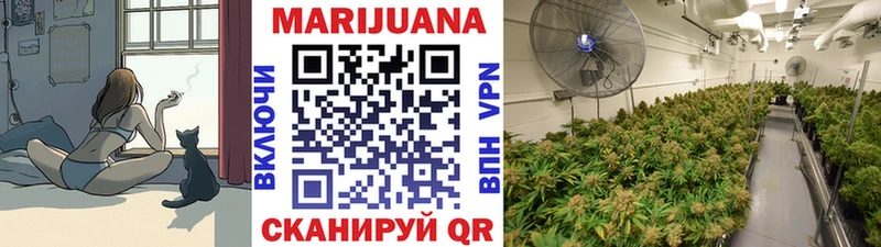 Конопля индика  наркошоп  Донецк 